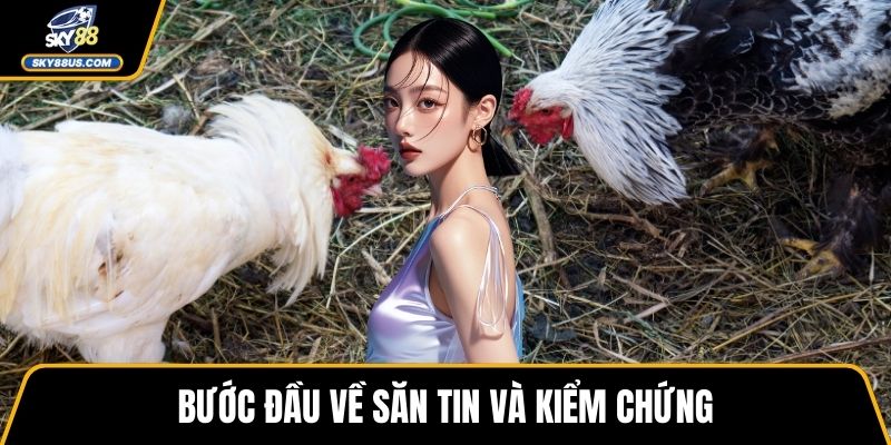 Bước đầu về săn tin và kiểm chứng