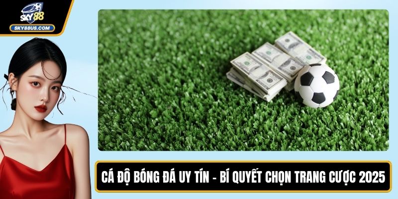 Cá Độ Bóng Đá Uy Tín - Bí Quyết Chọn Trang Cược 2025