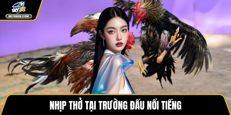 Nhịp thở tại trường đấu nổi tiếng
