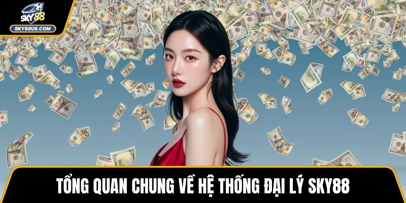 Tổng quan chung về hệ thống đại lý SKY88